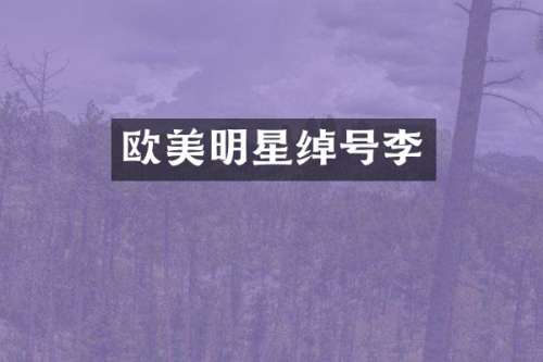 欧美明星绰号李