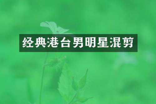经典港台男明星混剪