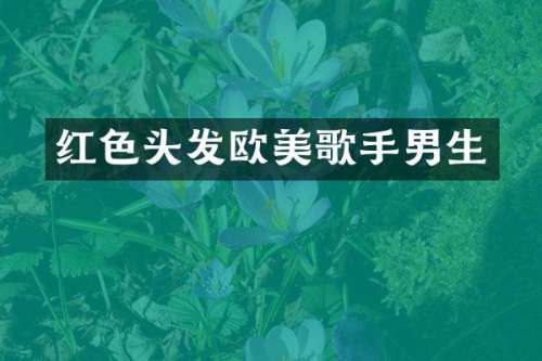 红色头发欧美歌手男生