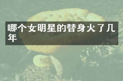 哪个女明星的替身火了几年