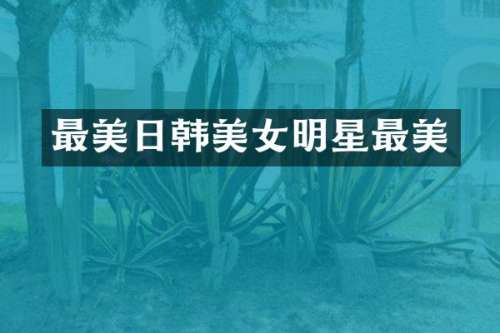 最美日韩明星最美