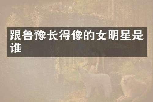 跟鲁豫长得像的女明星是谁