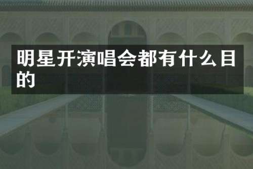 明星开演唱会都有什么目的