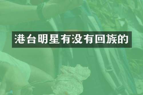 港台明星有没有回族的