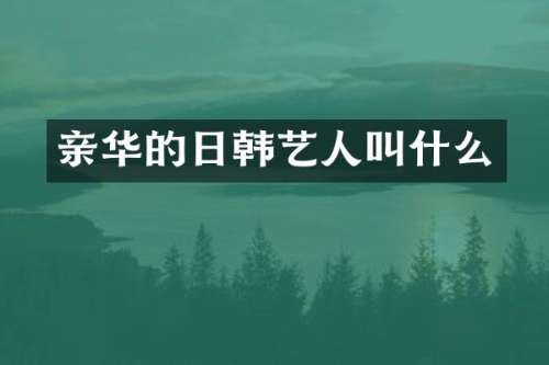 亲华的日韩艺人叫什么
