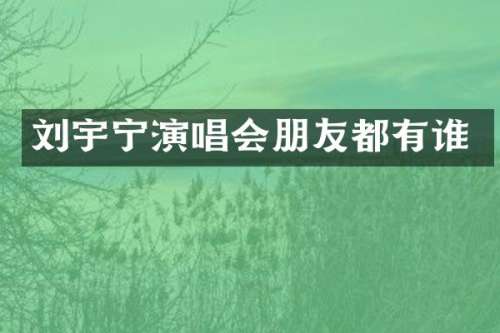 刘宇宁演唱会朋友都有谁