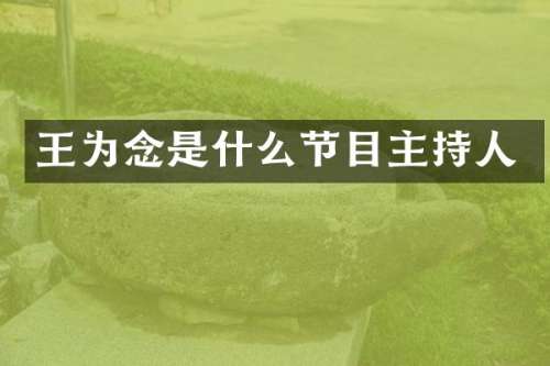 王为念是什么节目主持人
