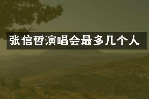 张信哲演唱会最多几个人