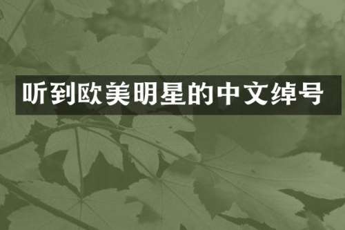 听到欧美明星的中文绰号