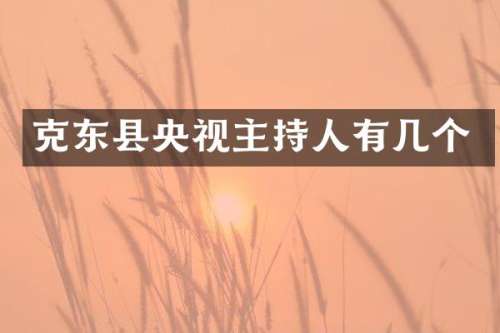 克东县央视主持人有几个