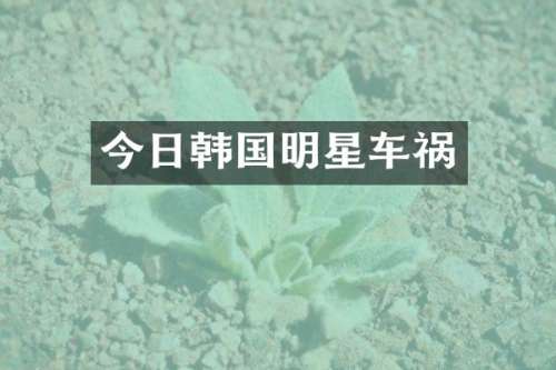 今日韩国明星车祸