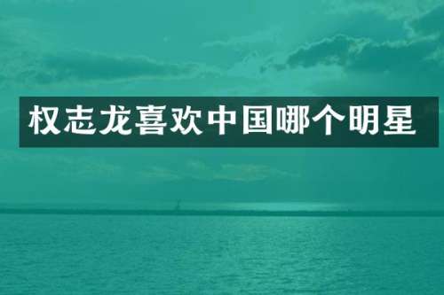 喜欢中国哪个明星
