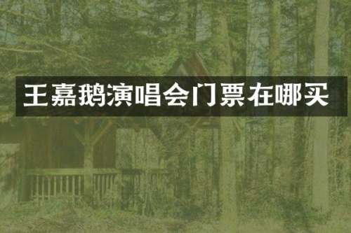 王嘉鹅演唱会门票在哪买