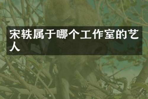 宋轶属于哪个工作室的艺人