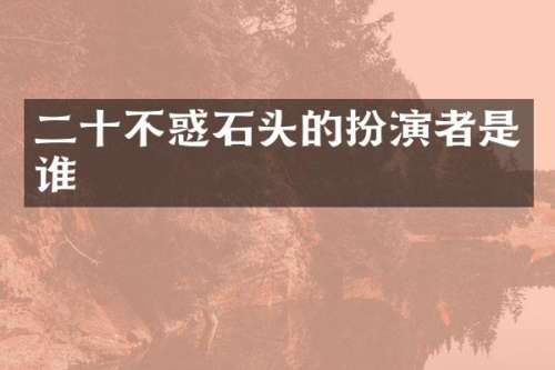 二十不惑石头的扮演者是谁