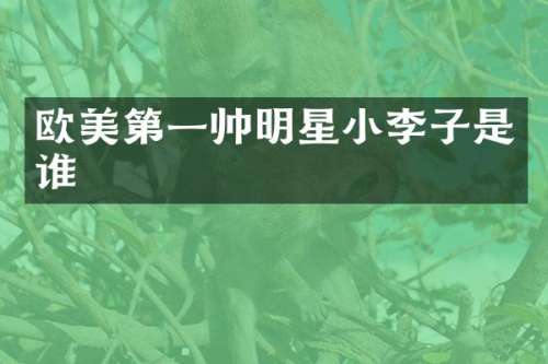 欧美第一帅明星小李子是谁