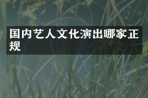 国内艺人文化演出哪家正规