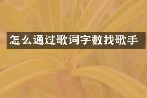 怎么通过歌词字数找歌手