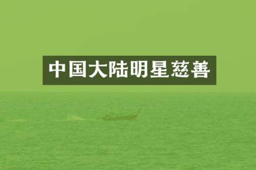 中国大陆明星慈善