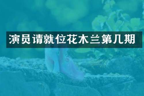 演员请就位花木兰第几期