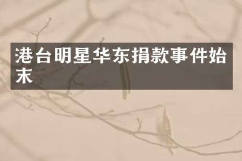 港台明星华东捐款事件始末