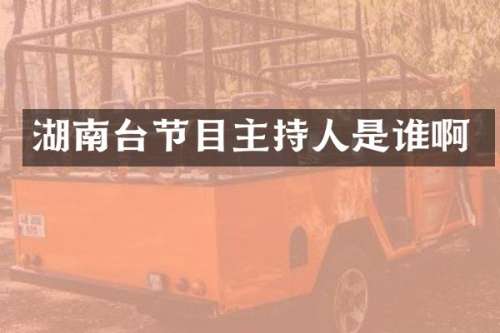 湖南台节目主持人是谁啊