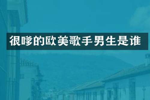 很嗲的欧美歌手男生是谁