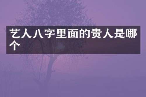 艺人八字里面的贵人是哪个
