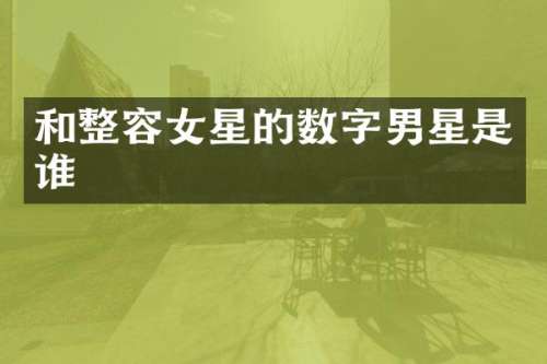和整容女星的数字男星是谁