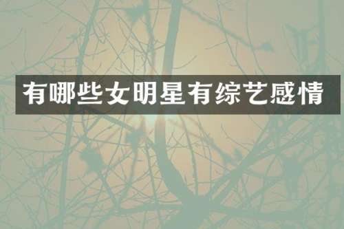 有哪些女明星有综艺感情