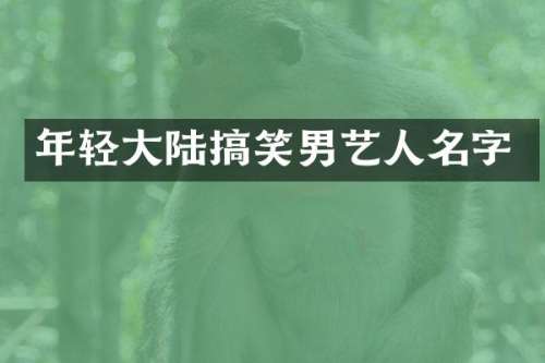 年轻大陆搞笑男艺人名字