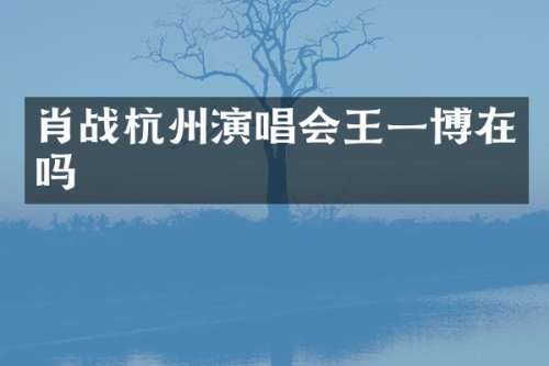 肖战杭州演唱会王一博在吗