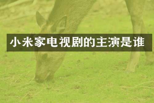小米家电视剧的主演是谁