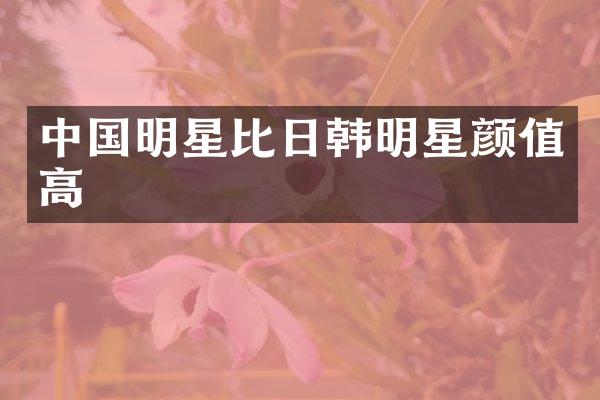中国明星比日韩明星颜值高