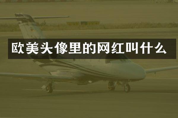 欧美头像里的网红叫什么