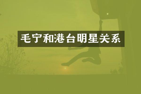 毛宁和港台明星关系