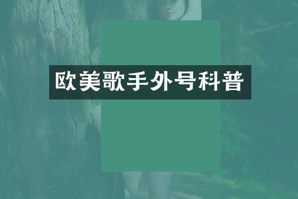 欧美歌手外号科普