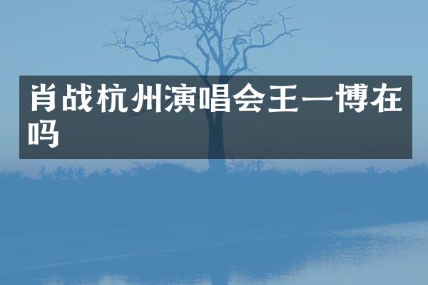 肖战杭州演唱会王一博在吗