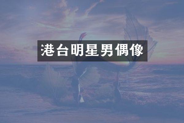 港台明星男偶像