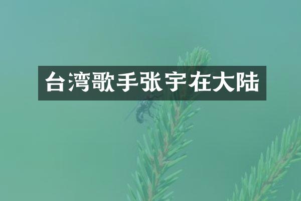 台湾歌手张宇在大陆