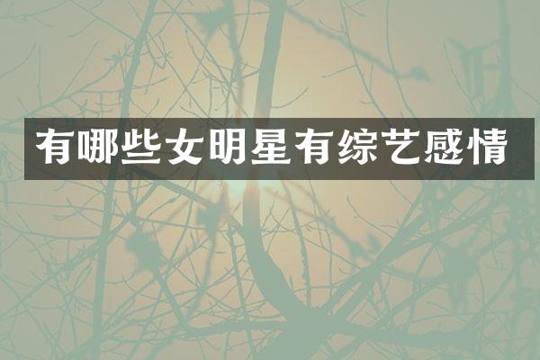 有哪些女明星有综艺感情