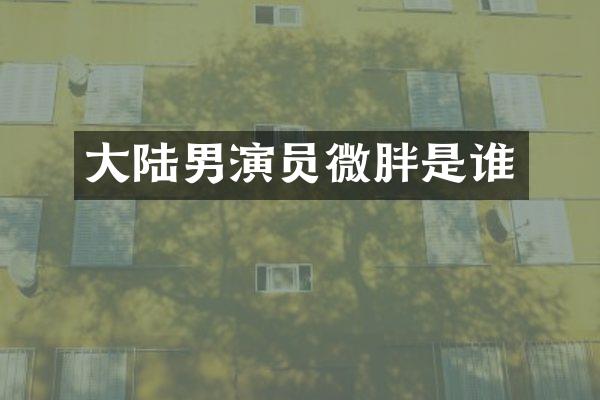 大陆男演员微胖是谁