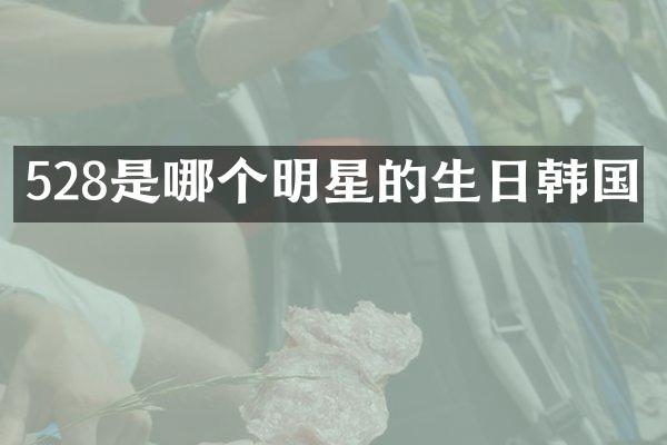 528是哪个明星的生日韩国
