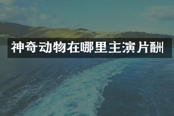 神奇动物在哪里主演片酬