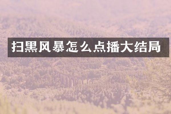 扫黑风暴怎么点播大结局