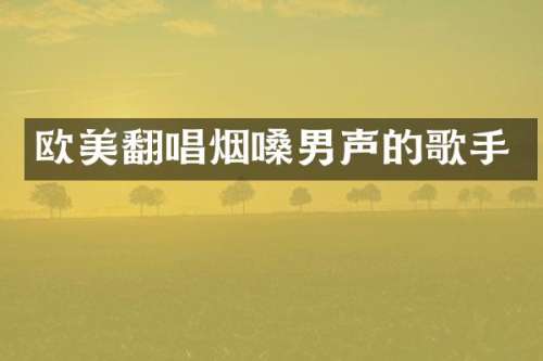 欧美翻唱烟嗓男声的歌手