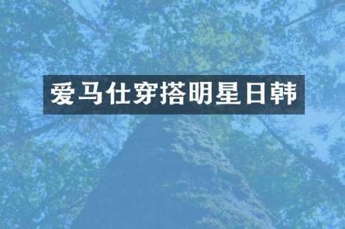 爱马仕穿搭明星日韩