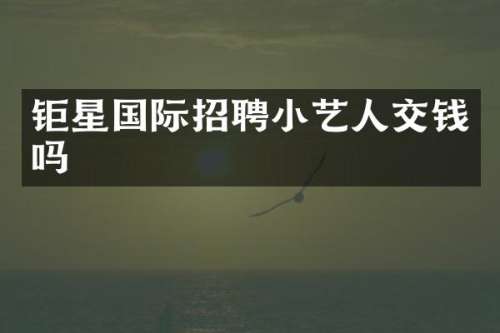 钜星国际招聘小艺钱吗