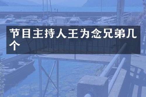 节目主持人王为念兄弟几个