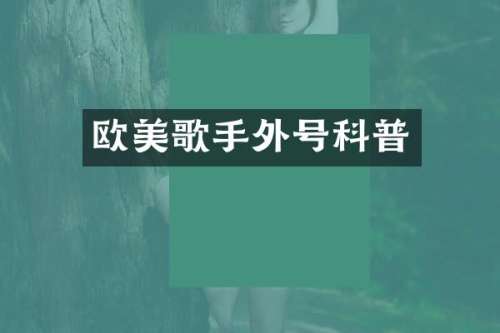欧美歌手外号科普